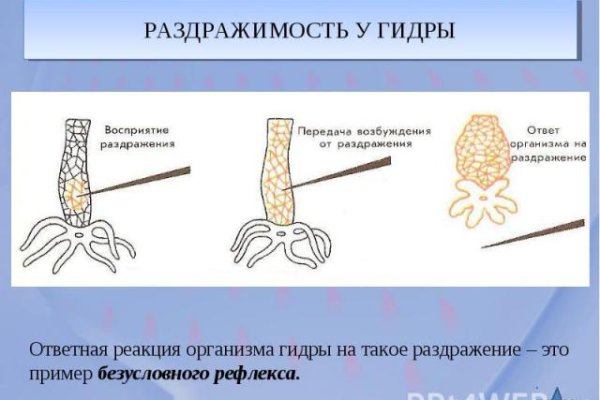 Кракен продает наркотики