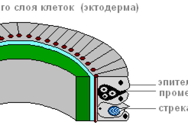 Kraken новая ссылка